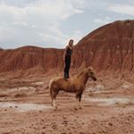 Profile Picture of Caroline Summa (@dog.n.pony) on Instagram