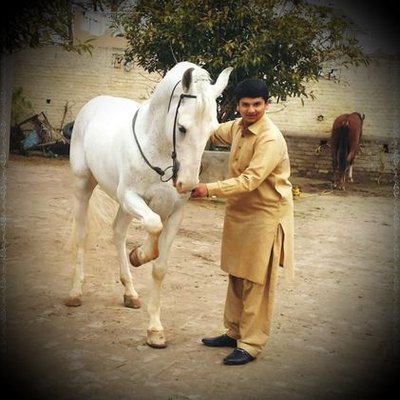 Profile Picture of Asad Rizvi (@AsadAsadrizvi30) on Twitter
