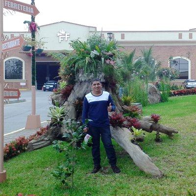 Profile Picture of Jaime Javier Carbo (@jaime2carbomor2) on Twitter