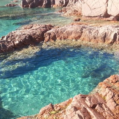 Profile Picture of MASSIMO DE LISA (@MASSIMODELISA1) on Twitter