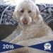 Profile Picture of Lisa McKellar (@mckellar66) on Pinterest
