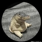 Profile Picture of Toan Huynh (@toan.huynh.231243) on Facebook