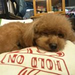 Profile Picture of Jasmine Coe (@jasmine.coe) on Instagram