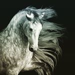 Profile Picture of Pak Min A (@_pak_min_a) on Instagram