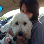 Profile Picture of James Knittel (@chipsandaknittel) on Instagram