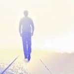 Profile Picture of Stephen Forest (@stephenforest) on Instagram