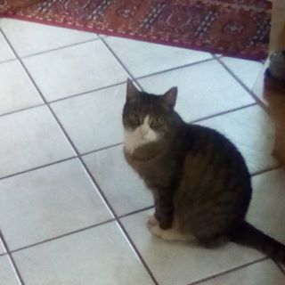 Profile Picture of Frank Haffner (@frank.haffner.9) on Facebook