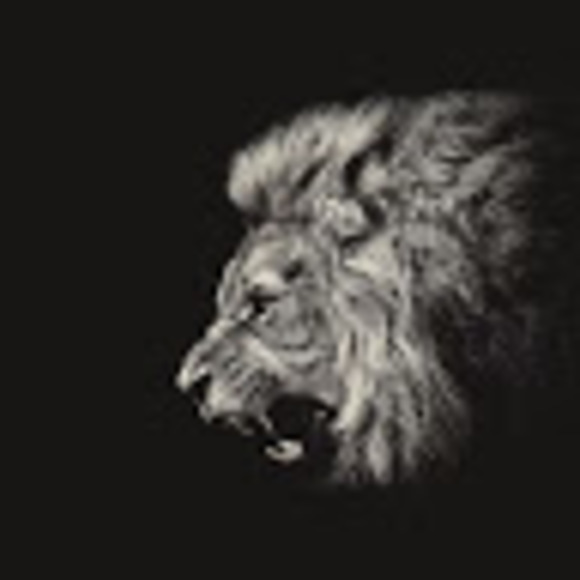 Profile Picture of Robert Chernin (@robertchernin) on Poshmark