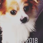 Profile Picture of lucas talley (@lucastalley2210) on Instagram