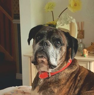 Profile Picture of Paulette Colley (@paulette.colley.94) on Facebook