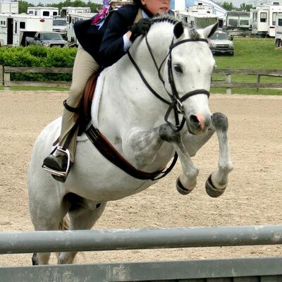 Profile Picture of Meredith Clay (@meremoo7) on Twitter