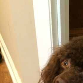 Profile Picture of Robin Allemond Hebert (@3xmeme) on Pinterest