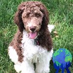 Profile Picture of Steven Dicken (@steven.dicken.12) on Instagram