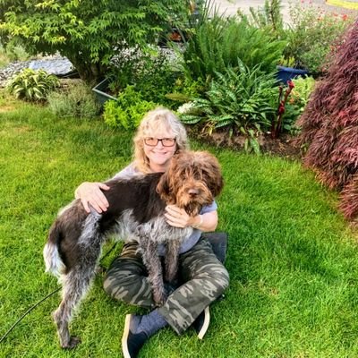 Profile Picture of Julie Loofbourow (@JLoofbourow) on Twitter