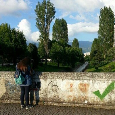 Profile Picture of Dina Dajko (@DiinaDajko) on Twitter