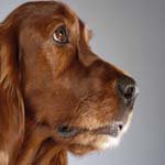 Profile Picture of Ralph_Welch (@ralph_welchr) on Instagram