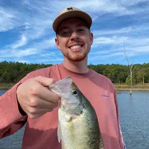 Profile Picture of Carson (@carsoneskew_) on Tiktok