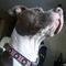 Profile Picture of Janis Lessor (@janis.lessor.5) on Facebook