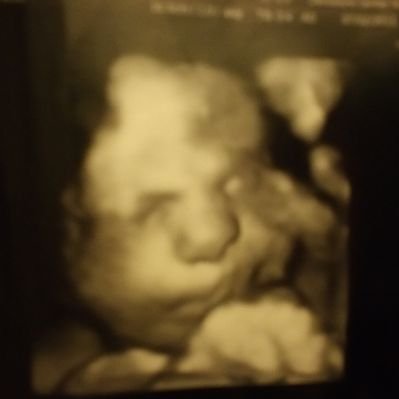 Profile Picture of Nancy Hess (@nancyhess33) on Twitter