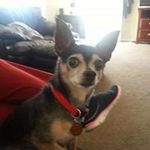 Profile Picture of Hope Chester Ramey (@chesterramey) on Instagram