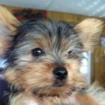 Profile Picture of Kim Rieck (@kimrieck) on Instagram