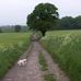 Profile Picture of Jon Chapman (@jon.chapman.14019) on Facebook