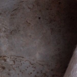 Profile Picture of Boy (@guyshorny1) on Tiktok