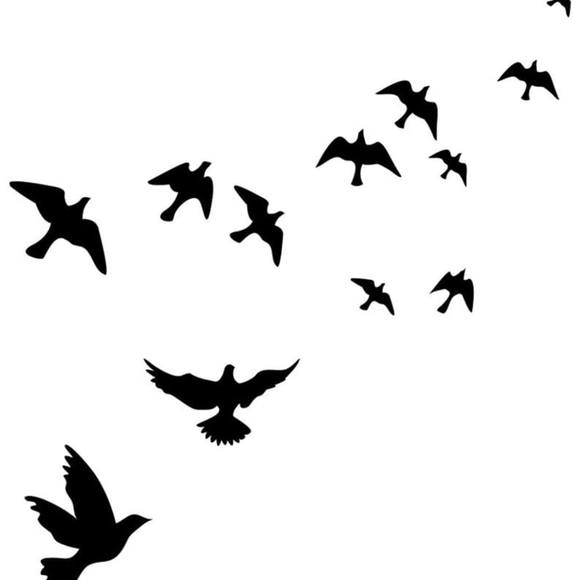 Profile Picture of Tania Wilby (@taniaboal) on Poshmark