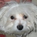 Profile Picture of Jonathan Toder (@jonathantoder) on Instagram