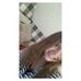 Profile Picture of Paula Preuß (@Paula-Preuß) on Facebook