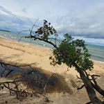 Profile Picture of David Pitcher (@dpwithchrist) on Instagram