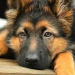 Profile Picture of Eline Eekhof (@elineeekhof) on Instagram