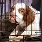 Profile Picture of Tyler Heise (@tylerheise16) on Instagram