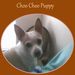 Profile Picture of Joe Ottis (@joeottis) on Pinterest