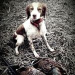 Profile Picture of Joshua Whiting (@whitingj28) on Instagram