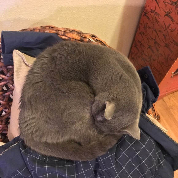 Profile Picture of Jake Sorbello (@sorbelloj) on Poshmark