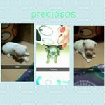 Profile Picture of nancy vaca (@nancy_vargas123) on Instagram