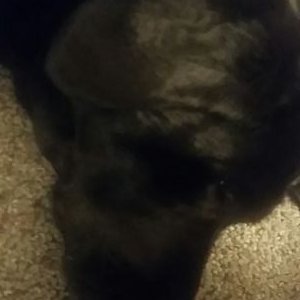 Profile Picture of David Deignan (@deignan42) on Twitter