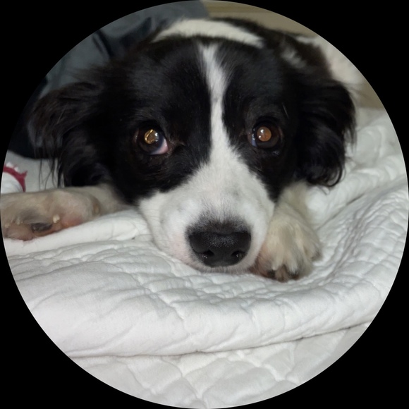 Profile Picture of Sasha Wilkinson (@sashanichole) on Poshmark