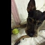 Profile Picture of virgil_van_boxt (@virgil_van_boxt) on Instagram