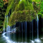 Phoebe Francis - Instagram Profile Picture of Phoebe Francis (@phoebemodelinc) on Instagram