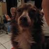 Profile Picture of Betty Pool (@@bettypool2) on Tiktok