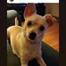 Profile Picture of Matthew Hoover (@matthew.hoover.7549) on Facebook