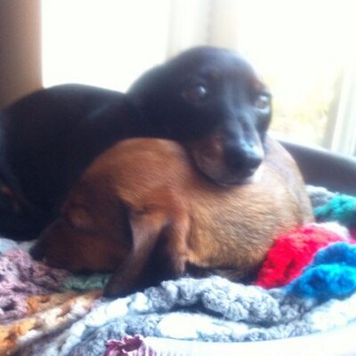 Profile Picture of Stephen Simms (@docshakespeare) on Twitter