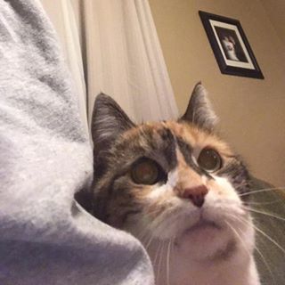 Agnes Eisan Johnston - Facebook Profile Picture of Agnes Eisan Johnston (@Aggie.ice) on Facebook