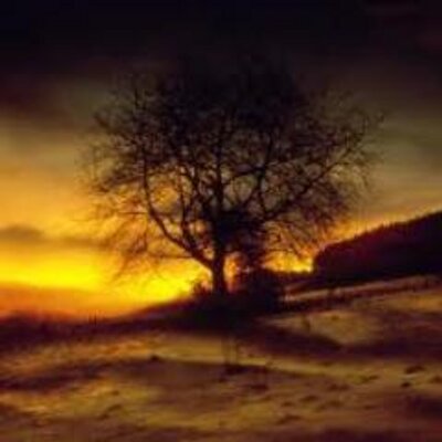 Profile Picture of David Fondren (@DavidFondren2) on Twitter