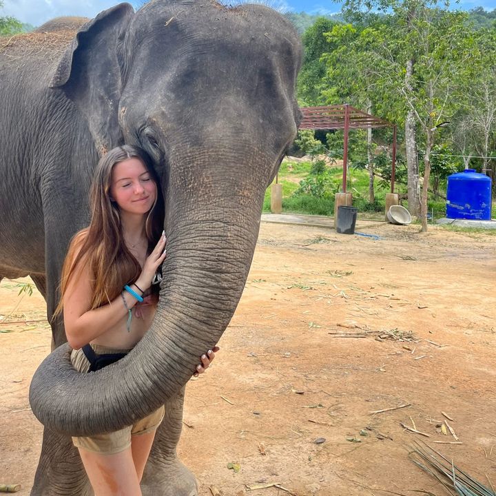 Profile Picture of Amber | Travel ✈️☀️🌊🛥️📍 (@amber.mccalliskey) on Tiktok