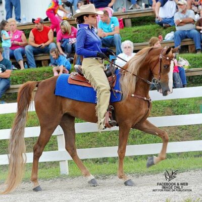 Profile Picture of Andrea Huffman (@@twhwalkon) on Twitter