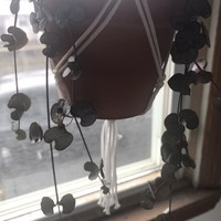 Profile Picture of Lucy Rogers (@lucy-rogers-123) on Quora