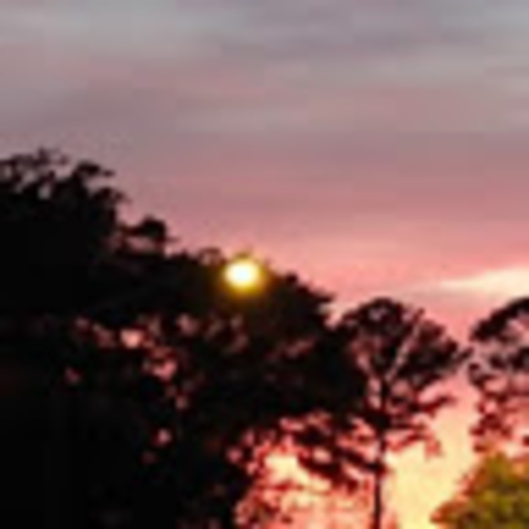 Profile Picture of Shelly Arangio (@shellyarangio) on Poshmark